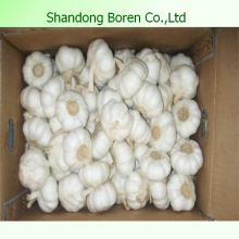 2015 Ajo Natural Inofensivo De Shandong Boren